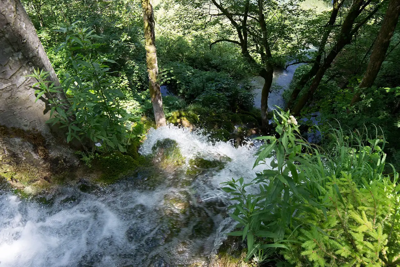 Tufa cascades stepping between the upper lakes inside the park that the dated plitvice tickets system controls entry to