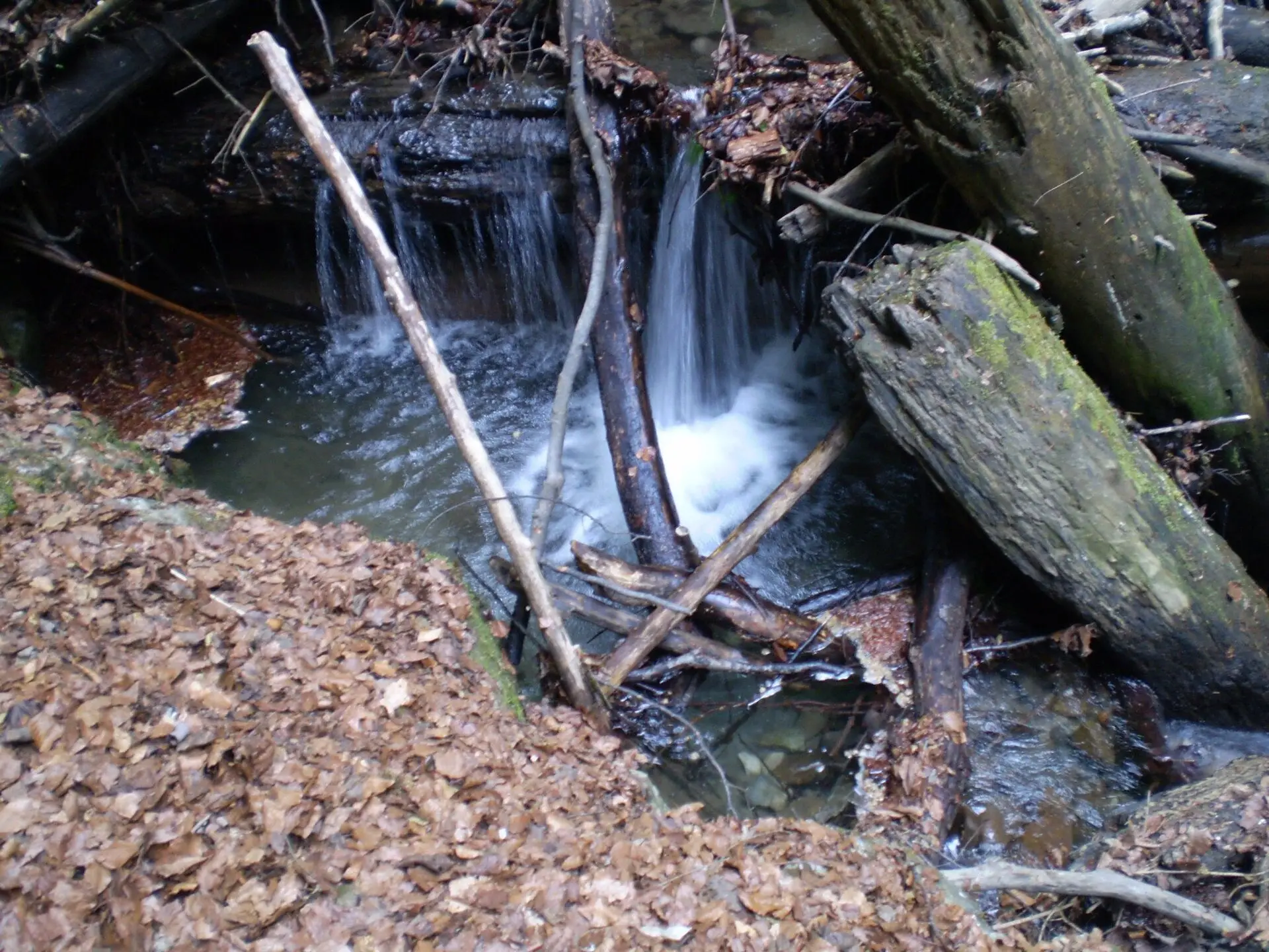 The fenced wooden walkway bolted to the limestone walls of the Vražji prolaz canyon in Gorski Kotar